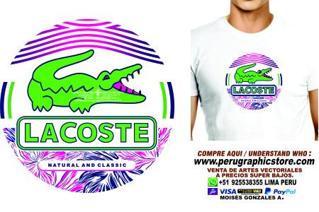 lacoste 26